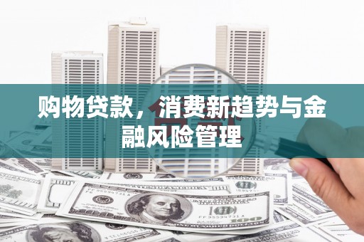 东台购物贷款，消费新趋势与金融风险管理