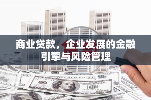 东台商业贷款，企业发展的金融引擎与风险管理