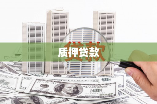 东台质押贷款