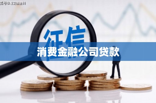 东台消费金融公司贷款