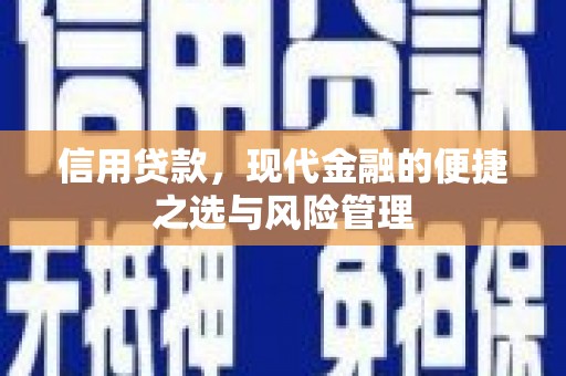 东台信用贷款，现代金融的便捷之选与风险管理