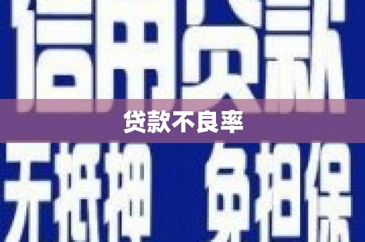 东台贷款不良率