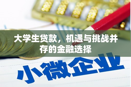 东台大学生贷款，机遇与挑战并存的金融选择