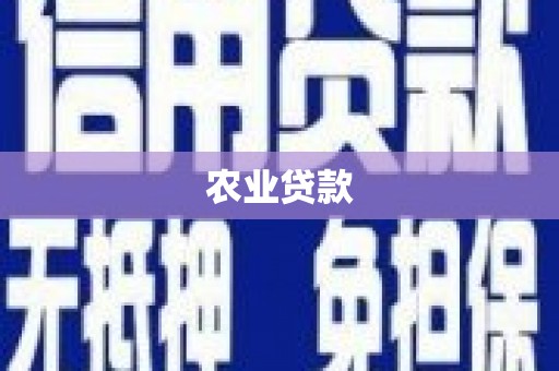 东台农业贷款