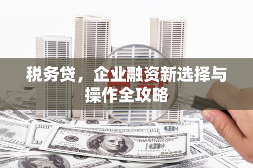 东台税务贷，企业融资新选择与操作全攻略