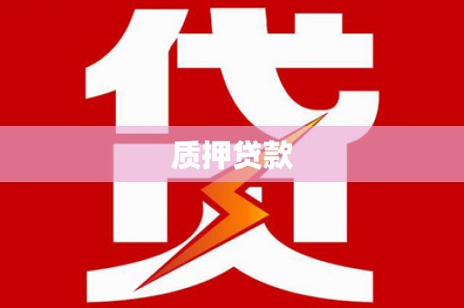 东台质押贷款