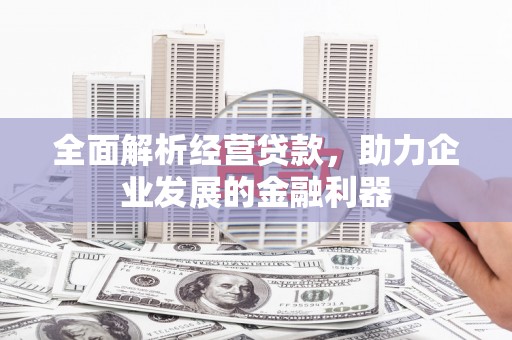 东台全面解析经营贷款，助力企业发展的金融利器