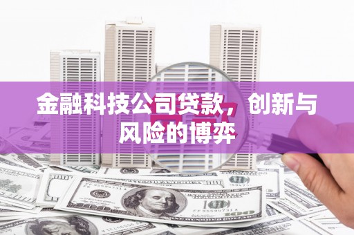 东台金融科技公司贷款，创新与风险的博弈