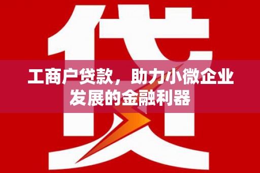东台工商户贷款，助力小微企业发展的金融利器