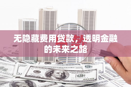 东台无隐藏费用贷款，透明金融的未来之路