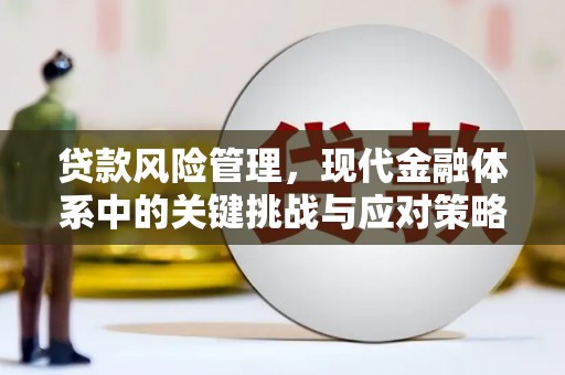 东台贷款风险管理，现代金融体系中的关键挑战与应对策略