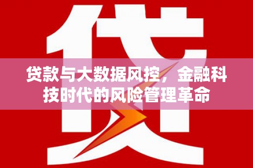 东台贷款与大数据风控，金融科技时代的风险管理革命