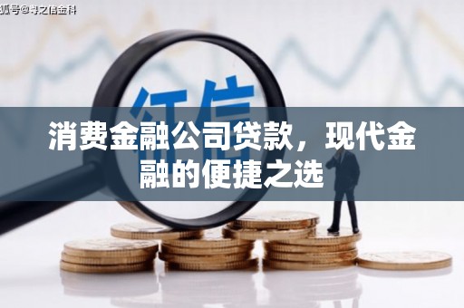 东台消费金融公司贷款，现代金融的便捷之选
