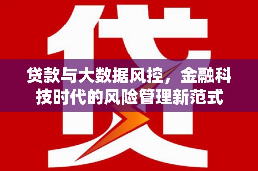 东台贷款与大数据风控，金融科技时代的风险管理新范式