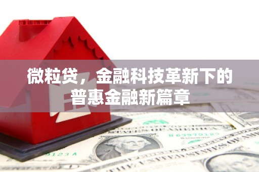 东台微粒贷，金融科技革新下的普惠金融新篇章