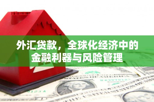 东台外汇贷款，全球化经济中的金融利器与风险管理