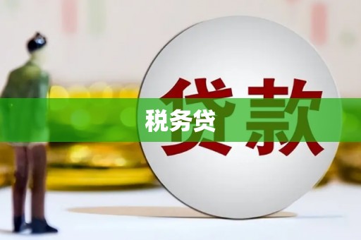 东台税务贷