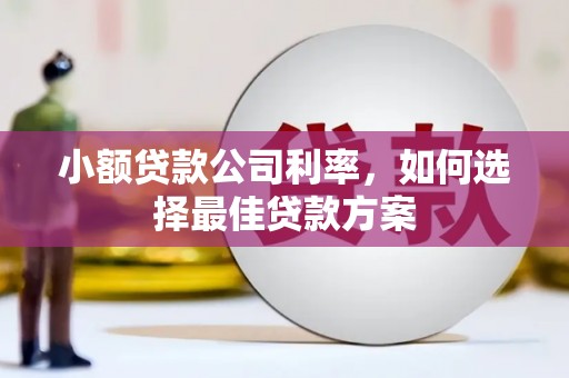 东台小额贷款公司利率，如何选择最佳贷款方案