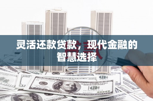 东台灵活还款贷款，现代金融的智慧选择