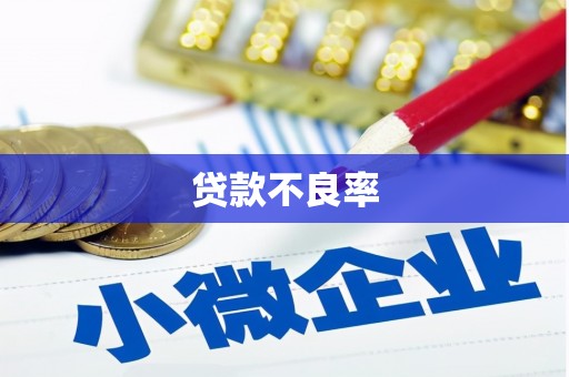 东台贷款不良率