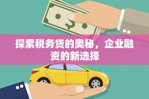 东台探索税务贷的奥秘，企业融资的新选择