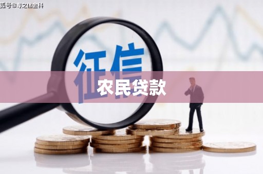 东台农民贷款