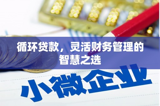东台循环贷款，灵活财务管理的智慧之选