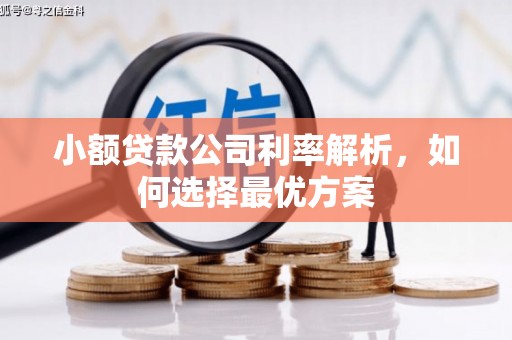 东台小额贷款公司利率解析，如何选择最优方案