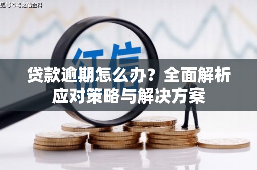 东台贷款逾期怎么办？全面解析应对策略与解决方案