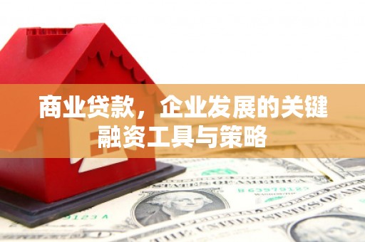 东台商业贷款，企业发展的关键融资工具与策略