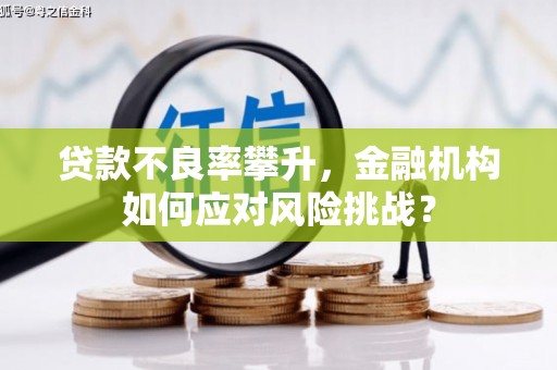东台贷款不良率攀升，金融机构如何应对风险挑战？