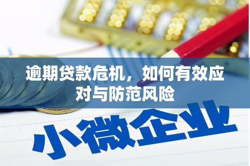 东台逾期贷款危机，如何有效应对与防范风险