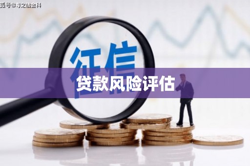 东台贷款风险评估
