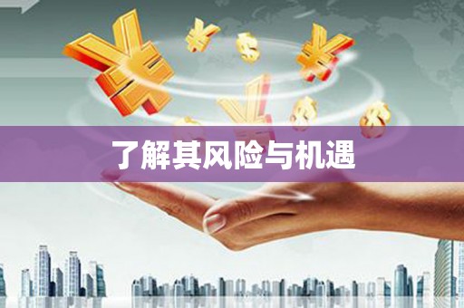 东台了解其风险与机遇