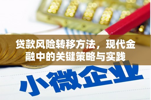 东台贷款风险转移方法，现代金融中的关键策略与实践