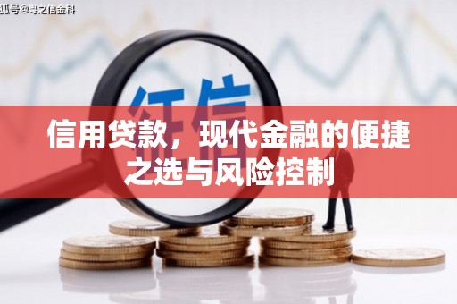 东台信用贷款，现代金融的便捷之选与风险控制
