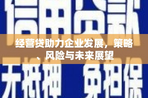 东台经营贷助力企业发展，策略、风险与未来展望