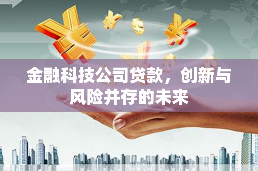 东台金融科技公司贷款，创新与风险并存的未来