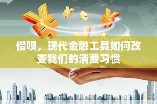东台借呗，现代金融工具如何改变我们的消费习惯