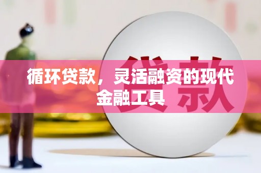 东台循环贷款，灵活融资的现代金融工具