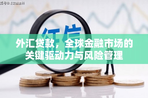 东台外汇贷款，全球金融市场的关键驱动力与风险管理