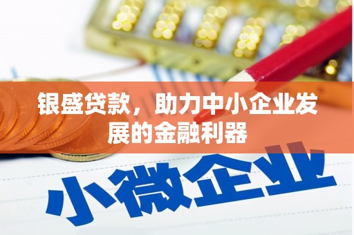东台银盛贷款，助力中小企业发展的金融利器