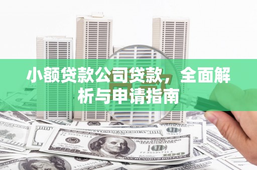东台小额贷款公司贷款，全面解析与申请指南