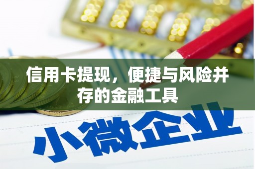 东台信用卡提现，便捷与风险并存的金融工具