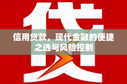 东台信用贷款，现代金融的便捷之选与风险控制