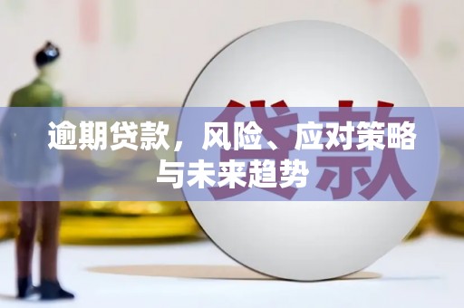 东台逾期贷款，风险、应对策略与未来趋势