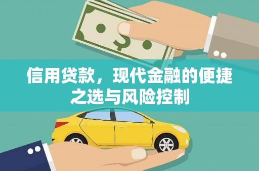 东台信用贷款，现代金融的便捷之选与风险控制