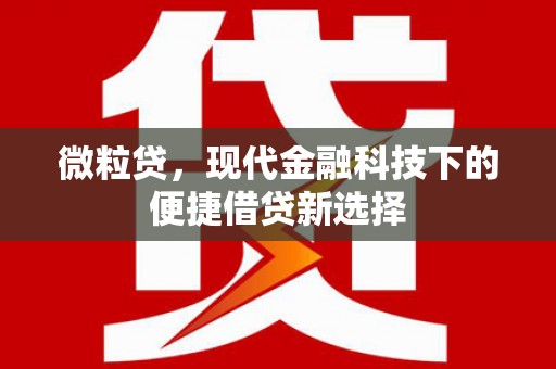 东台微粒贷，现代金融科技下的便捷借贷新选择