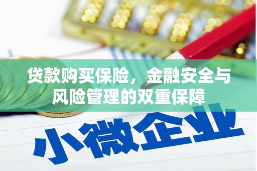 东台贷款购买保险，金融安全与风险管理的双重保障