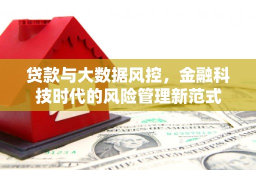 东台贷款与大数据风控，金融科技时代的风险管理新范式
